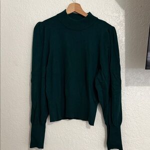 Express Dark Green Turtleneck Sweater